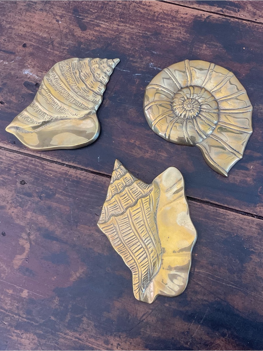 MCM SOLID BRASS Seashell Trio